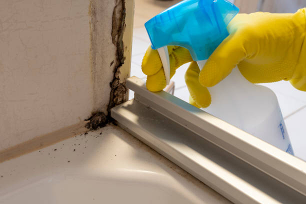 Mold Testing and Removal in St Matthews, SC