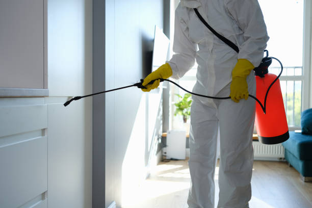 Best Mold Removal and Inspection  in St Matthews, SC